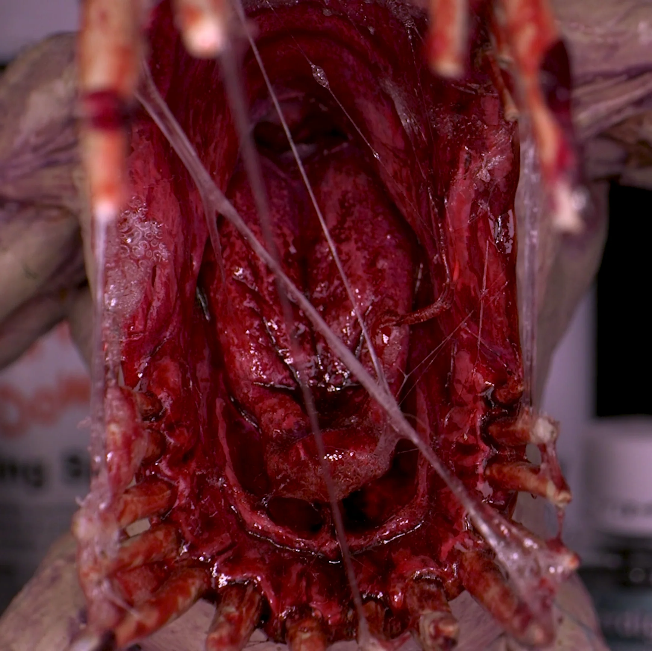Dirty Down | Basing and Model Effects | Snot - Image 7
