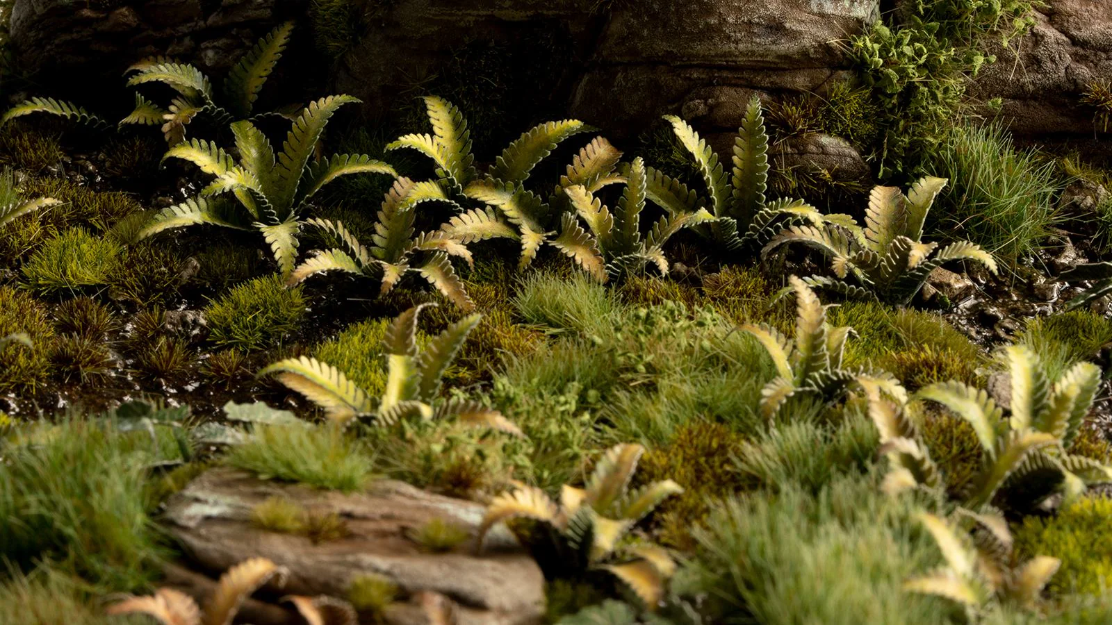 Gamers Grass | Laser Plants | Deer Fern - Image 6